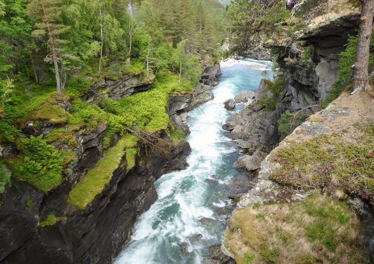 ROMS DALS FJORD AND ANDALSNES 30062014 (48) (Copy) (Copy)